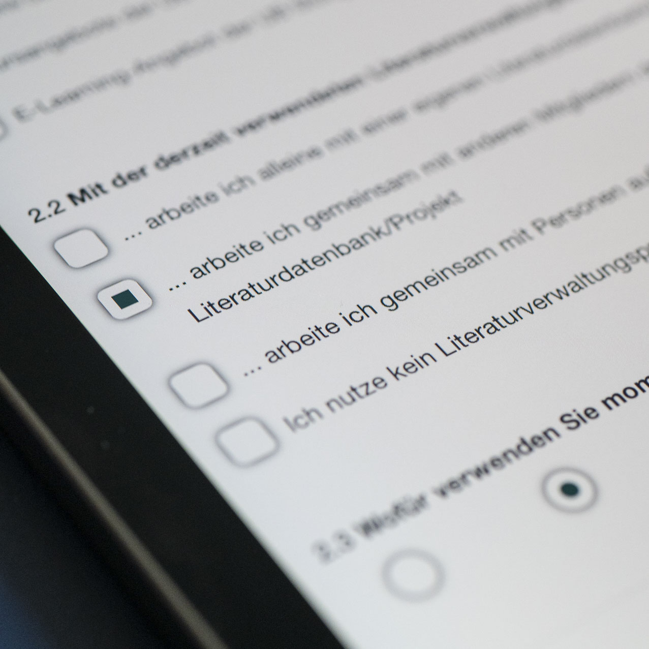 Detailed picture of the online questionnaire